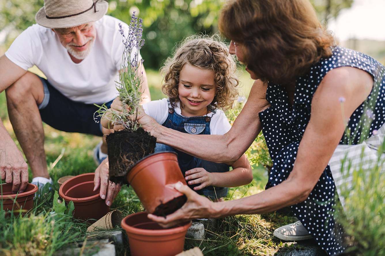 Estate Planning Management | Diversified Asset Planners